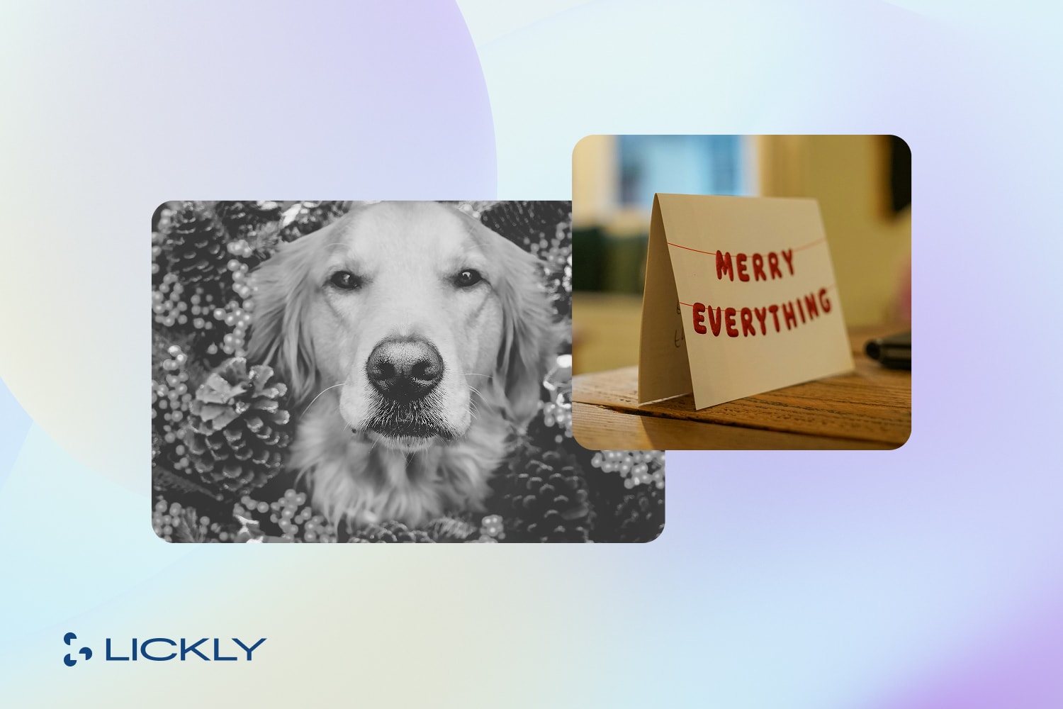 Picture of a golden retriever and Merry Everything sign